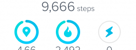 screenshot of my Fitbit App